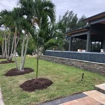 A lush green lawn with palm trees in front of a house.