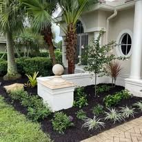 A lush green garden in front of a house with palm trees.