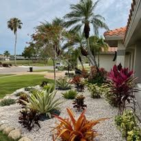 A garden with lots of plants and palm trees in front of a house.