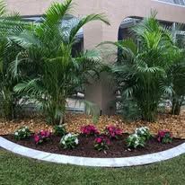 A garden with palm trees and flowers in front of a building.