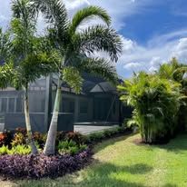 A house with a screened in porch and a lot of palm trees in front of it.