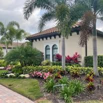 A house with a lot of plants and trees in front of it.