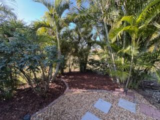 A landscaped garden bed with dark mulch, green plants, and lawn with a stone border and lighting.