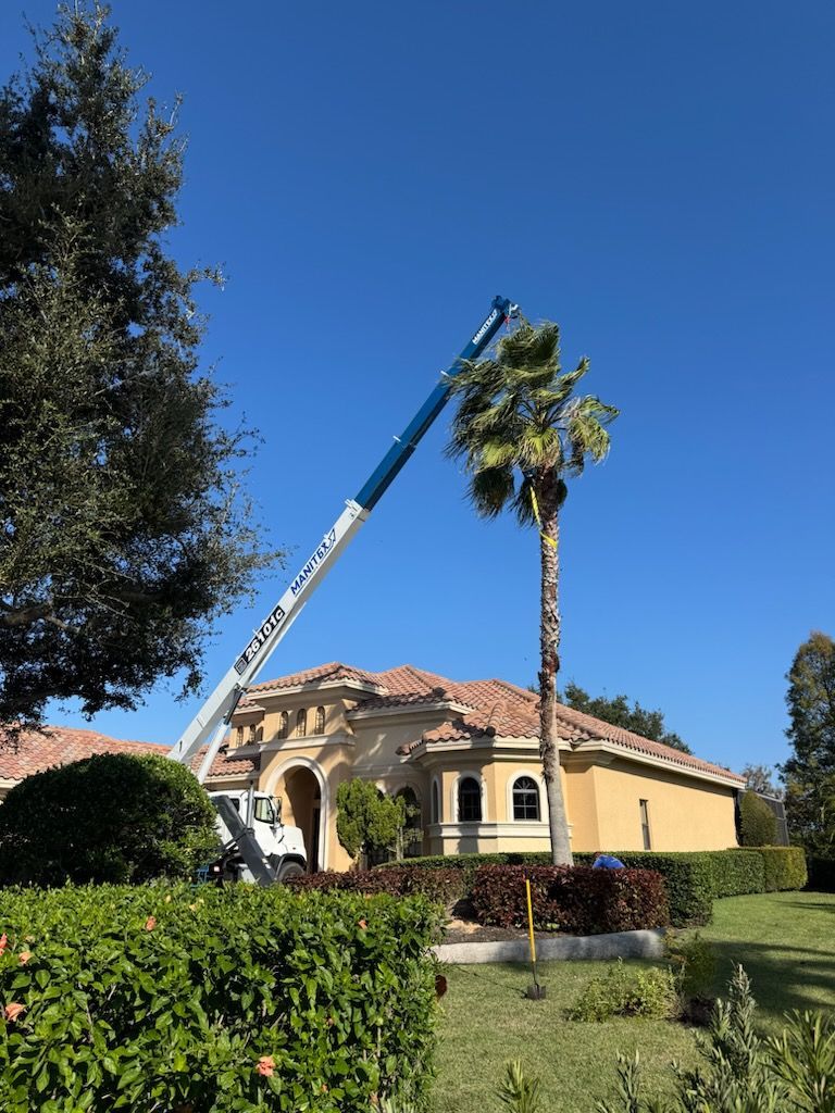 Lush green and burgundy hedges border a grassy lawn, with taller evergreen trees in the background.