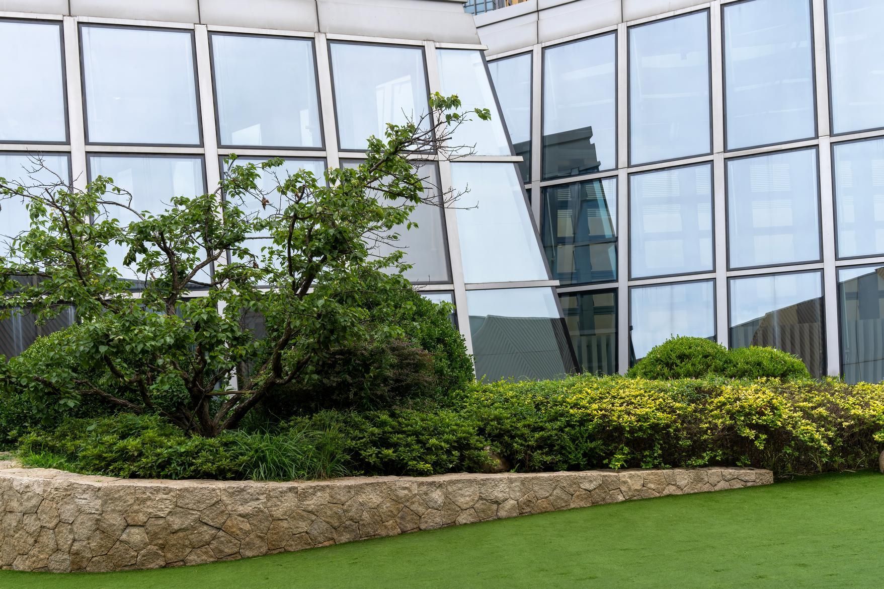 Green bushes and trees in front of a modern building with reflective glass windows.