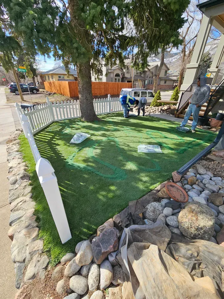 Workers installing artificial turf in a yard. Green grass, white picket fence, large tree, and rocks are present.