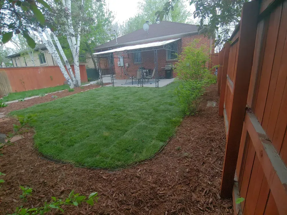Backyard with green lawn, mulch border, and red fence surrounding a brick house.