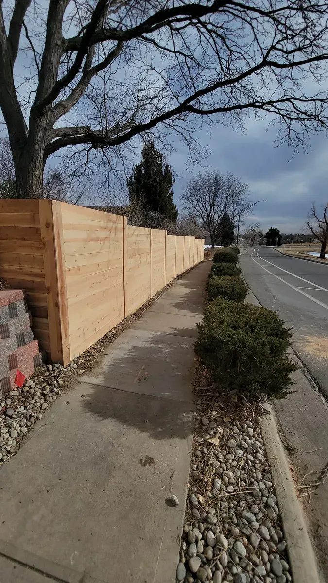 Wooden fence lines a sidewalk next to a road, with bushes and bare trees along the way.