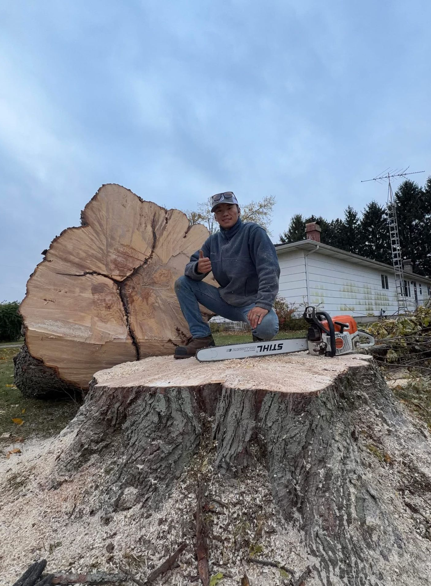 Porter County Tree Removal 
