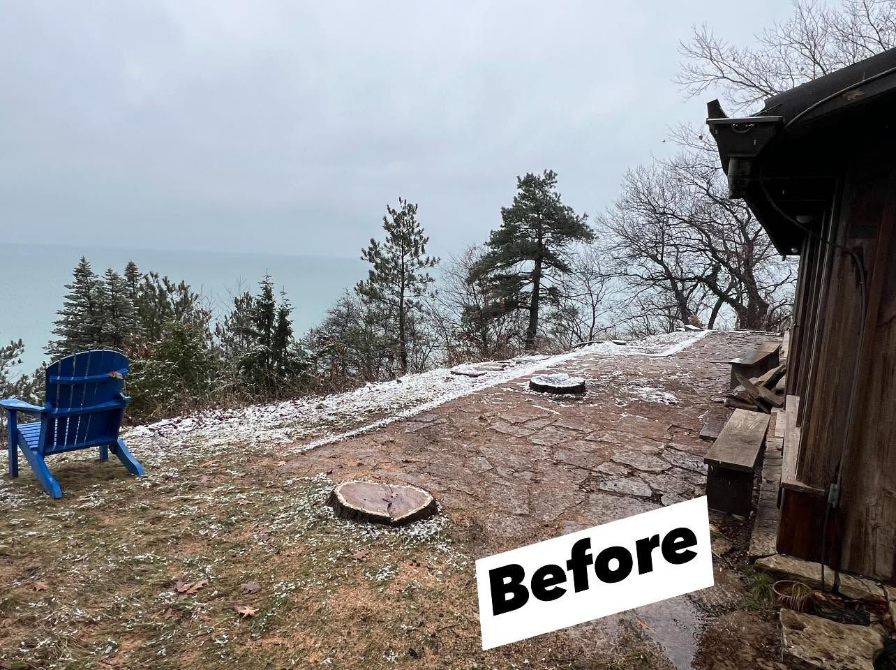 Tree Removal with Stump Grinding in Ogden Dunes