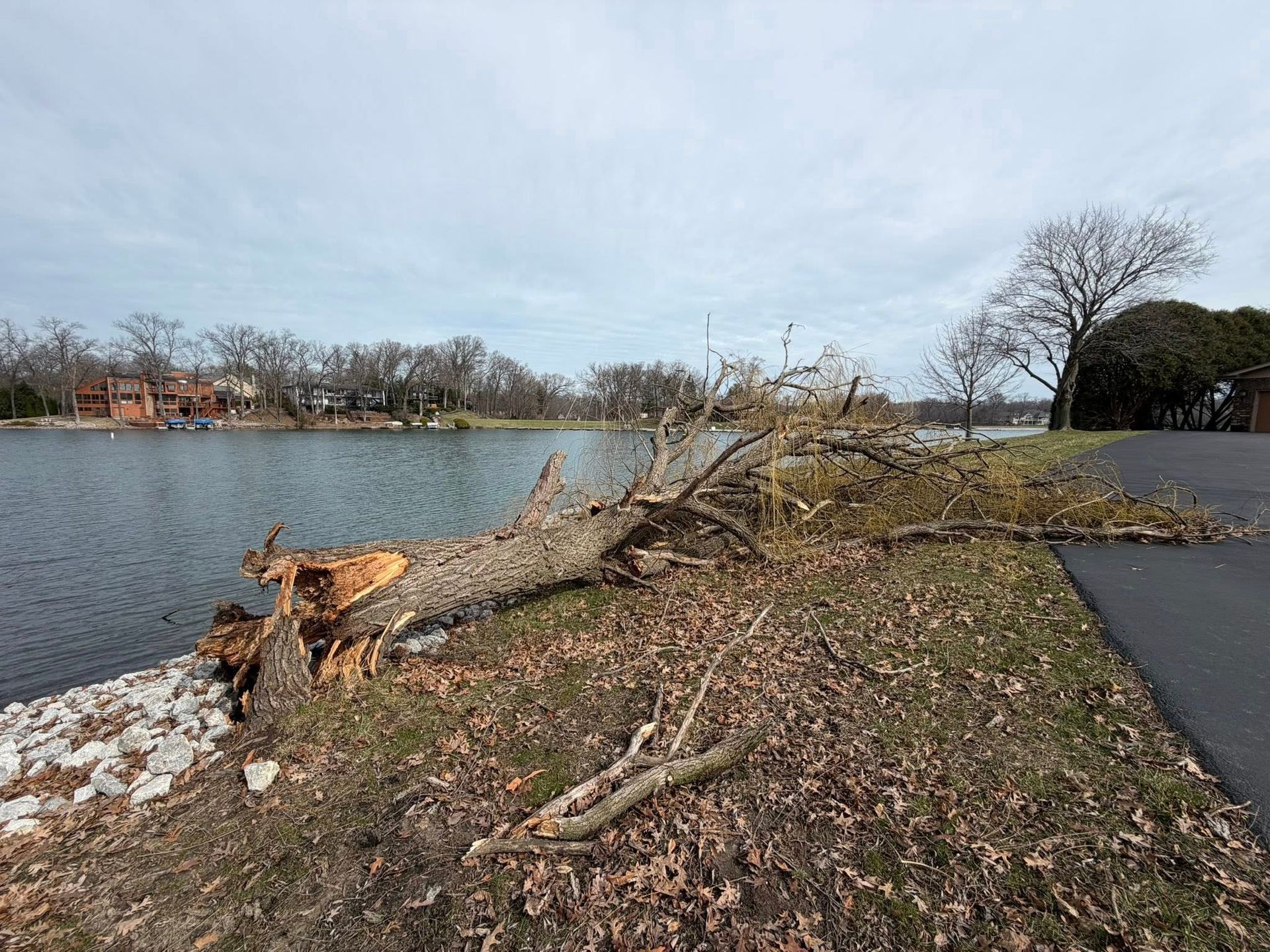Porter County Emergency Tree Removal 