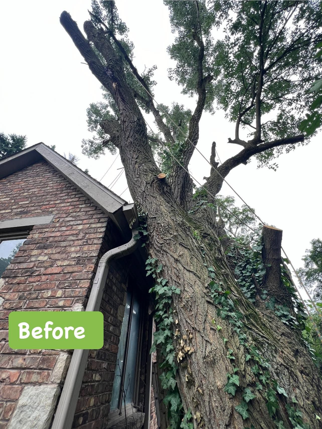 Tree Removal after Storm in Valparaiso, IN