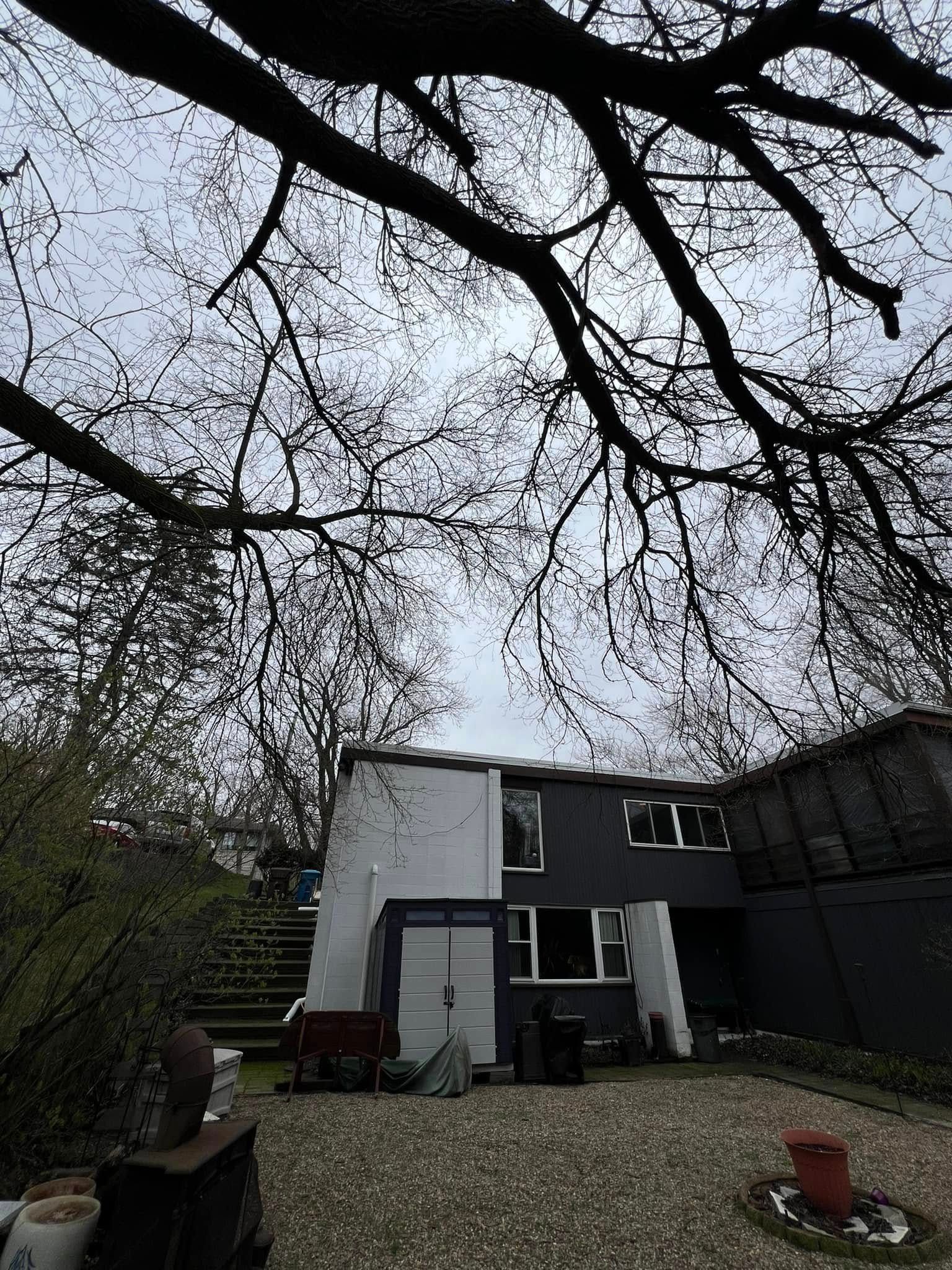 Backyard view of a white-and-black house beneath bare tree branches on a gravel patio