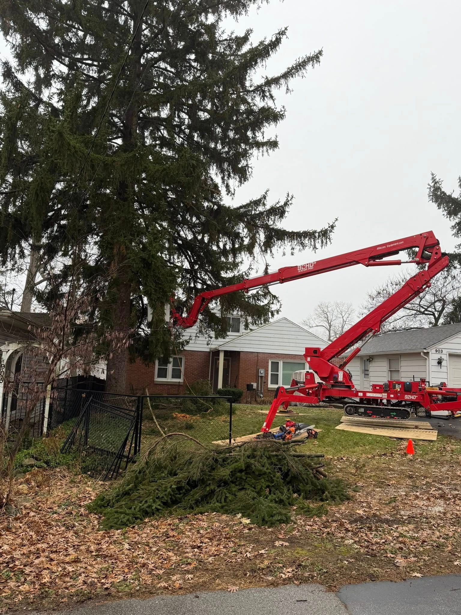 Professional tree service in Valpo Indiana
