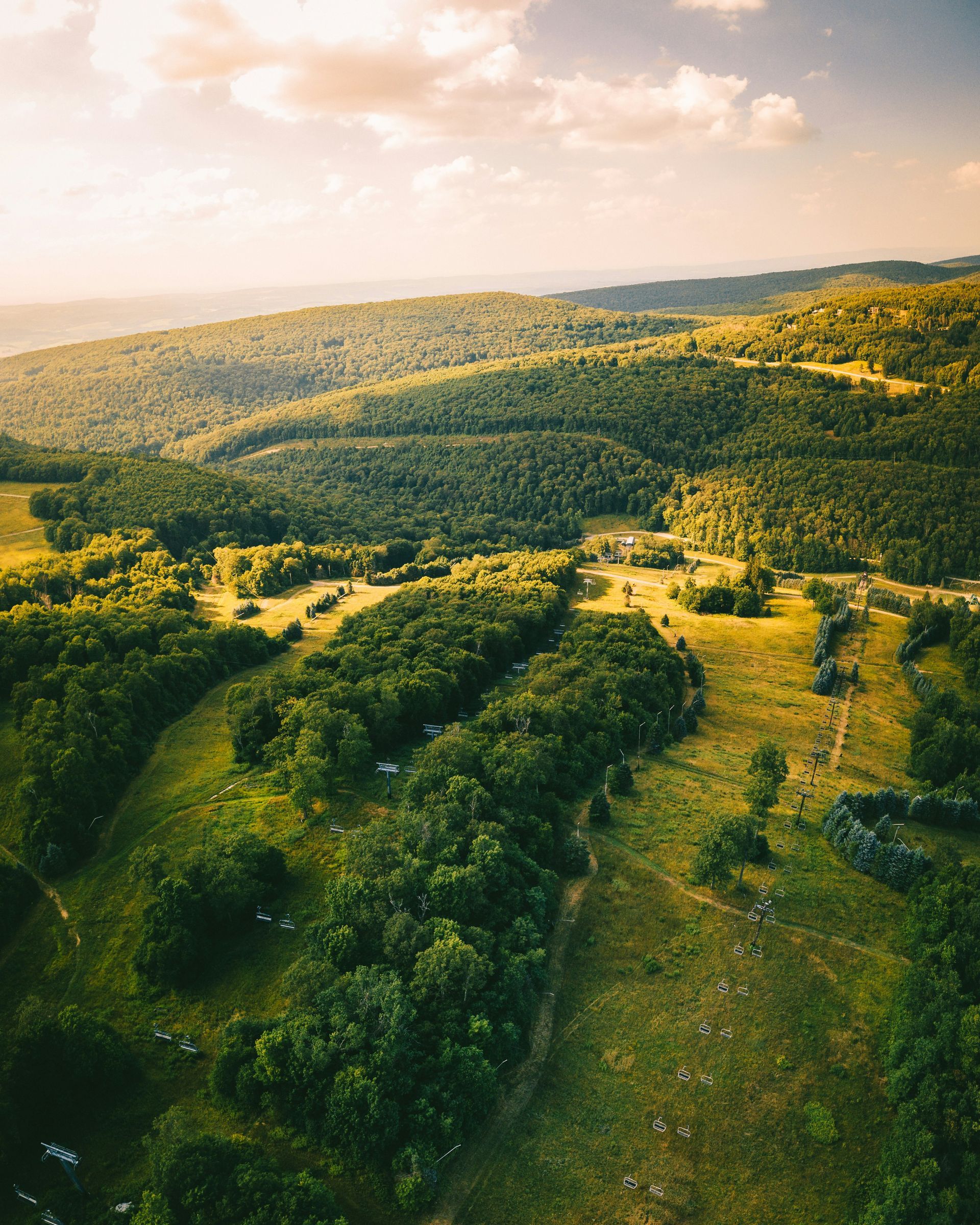 An aerial view of a lush green valley surrounded by trees and grass.