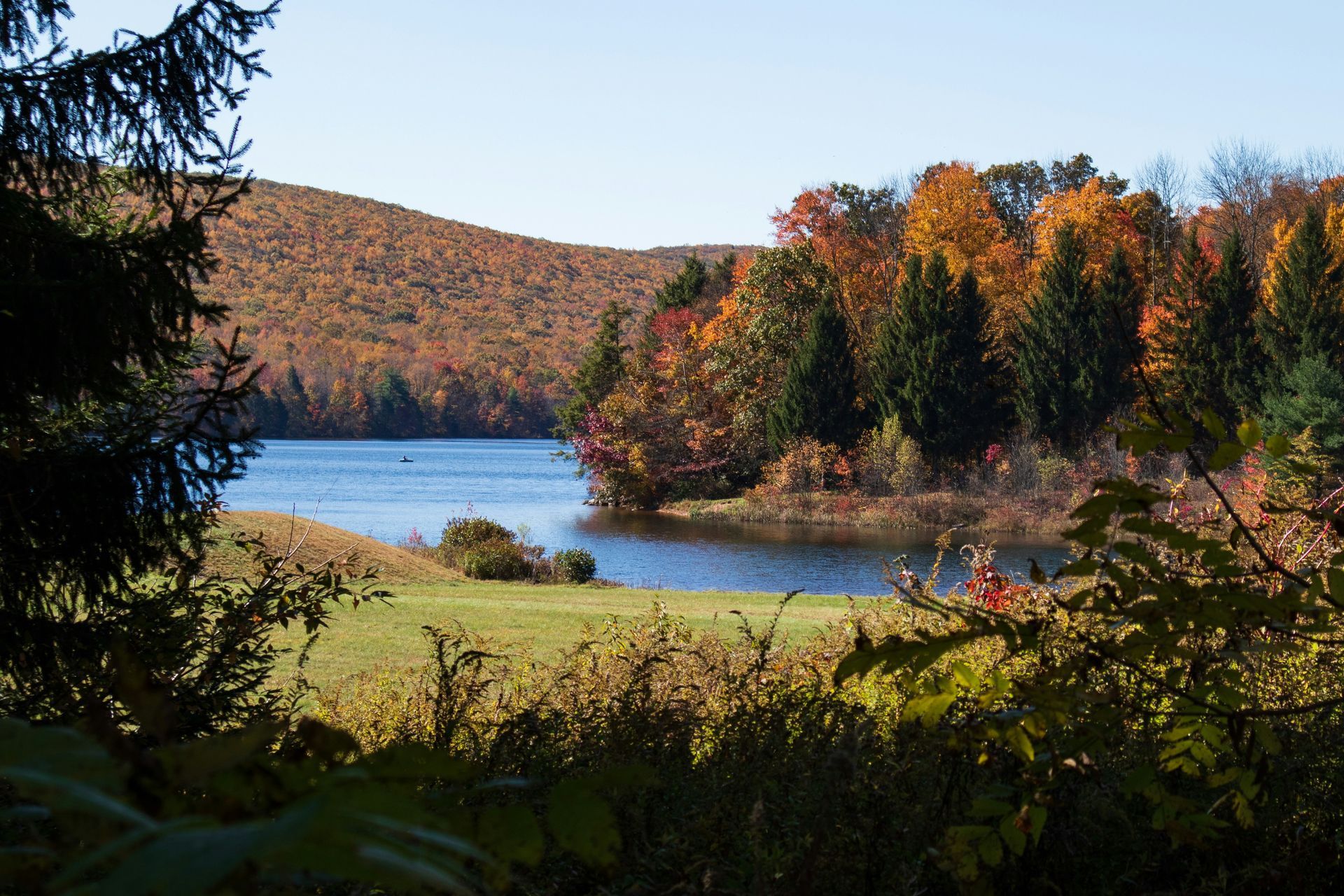 A lake in the middle of a forest with trees in the background