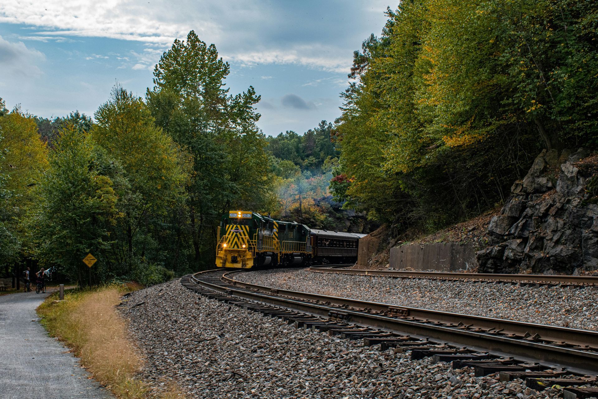 A train is going down the tracks in the woods