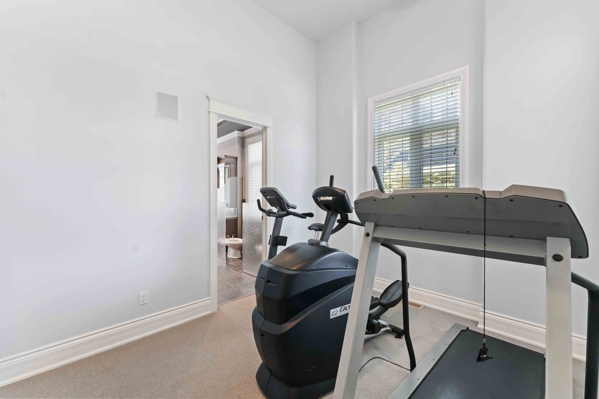 There is a treadmill and an elliptical in the room.