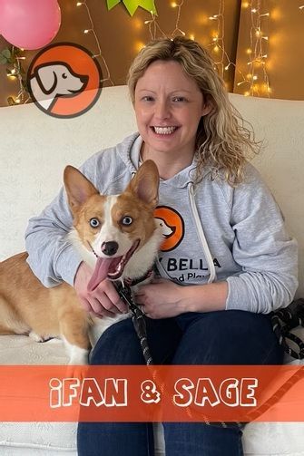 A smiling person with curly hair sits on a sofa, holding a corgi with its tongue out. Text overlay reads: iFAN & SAGE.