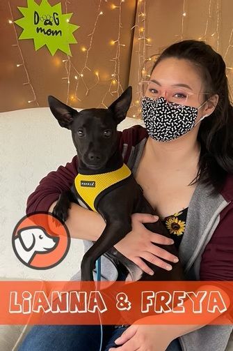 A woman wearing a patterned face mask holds a black dog with a yellow harness against a backdrop of glowing fairy lights.