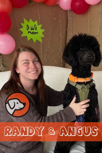 A smiling person sits next to a black poodle wearing a harness, with 