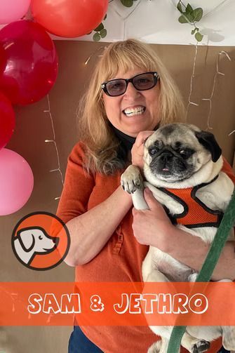 A person wearing an orange shirt smiles while holding a pug wearing an orange harness, with balloons in the background.