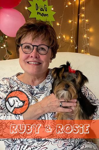 A person with glasses holds a small dog with a red bow. There are pink balloons and string lights in the background.