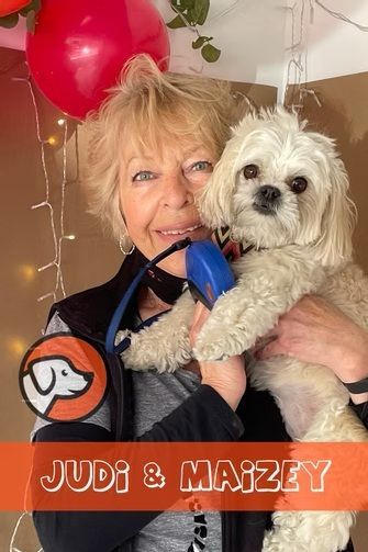 A person holding a small, light-colored dog in front of a backdrop with red balloons and fairy lights. Text: JUDI & MAIZEY.