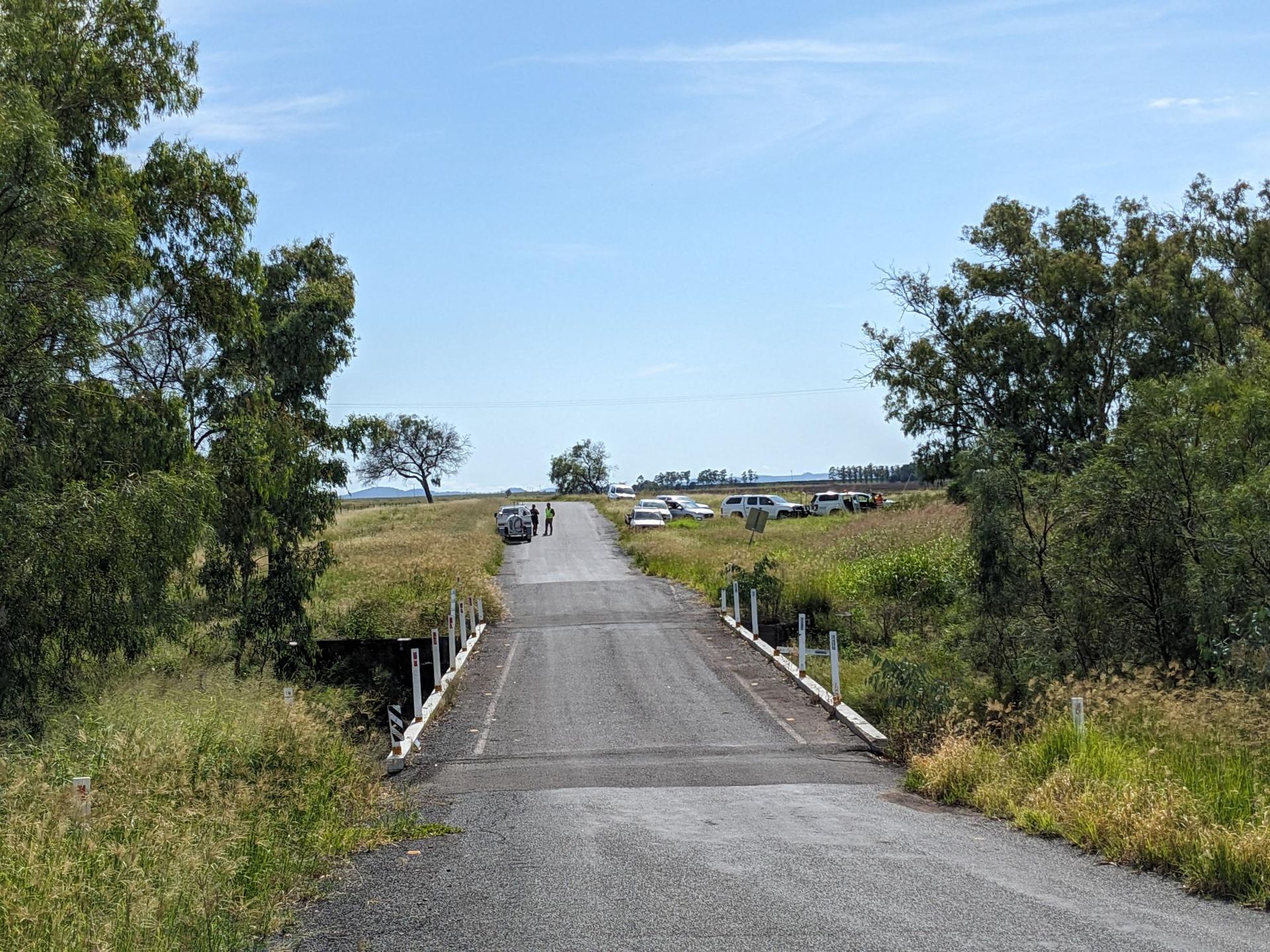 Comprehensive Research and Conservation
Efforts for the Manning River Helmeted Turtle