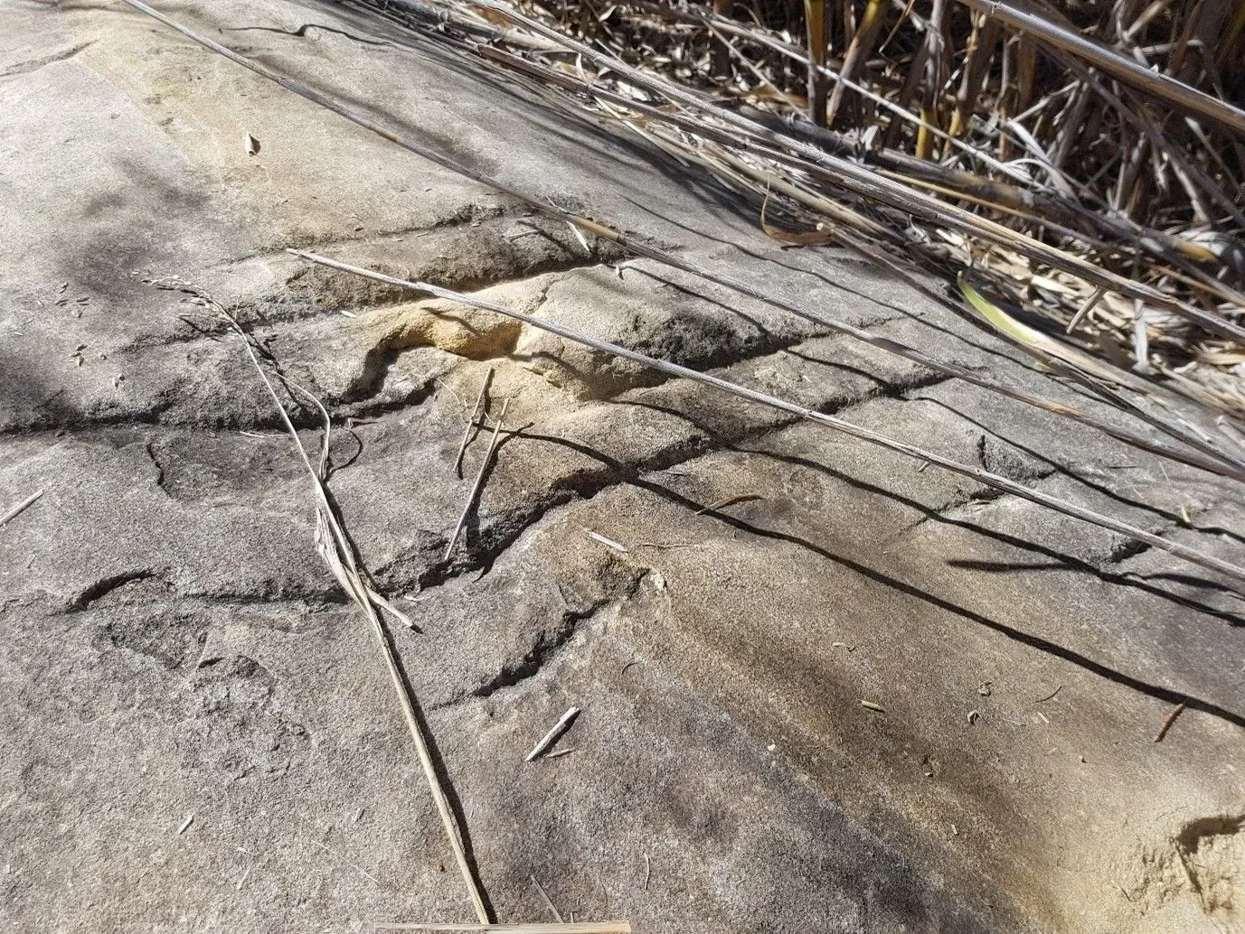 Unveiling Our Expertise:
The Archaeological Investigation of Grinding Grooves