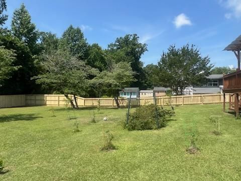A grassy backyard with several young trees, a garden patch, and a wooden fence bordering a line of mature forest.