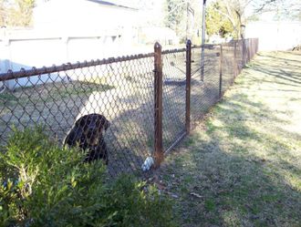 Brown Vinyl Coated Chain Link Fence And Dog — Elizabeth, NC — Albemarle Fence & Rail, Co.