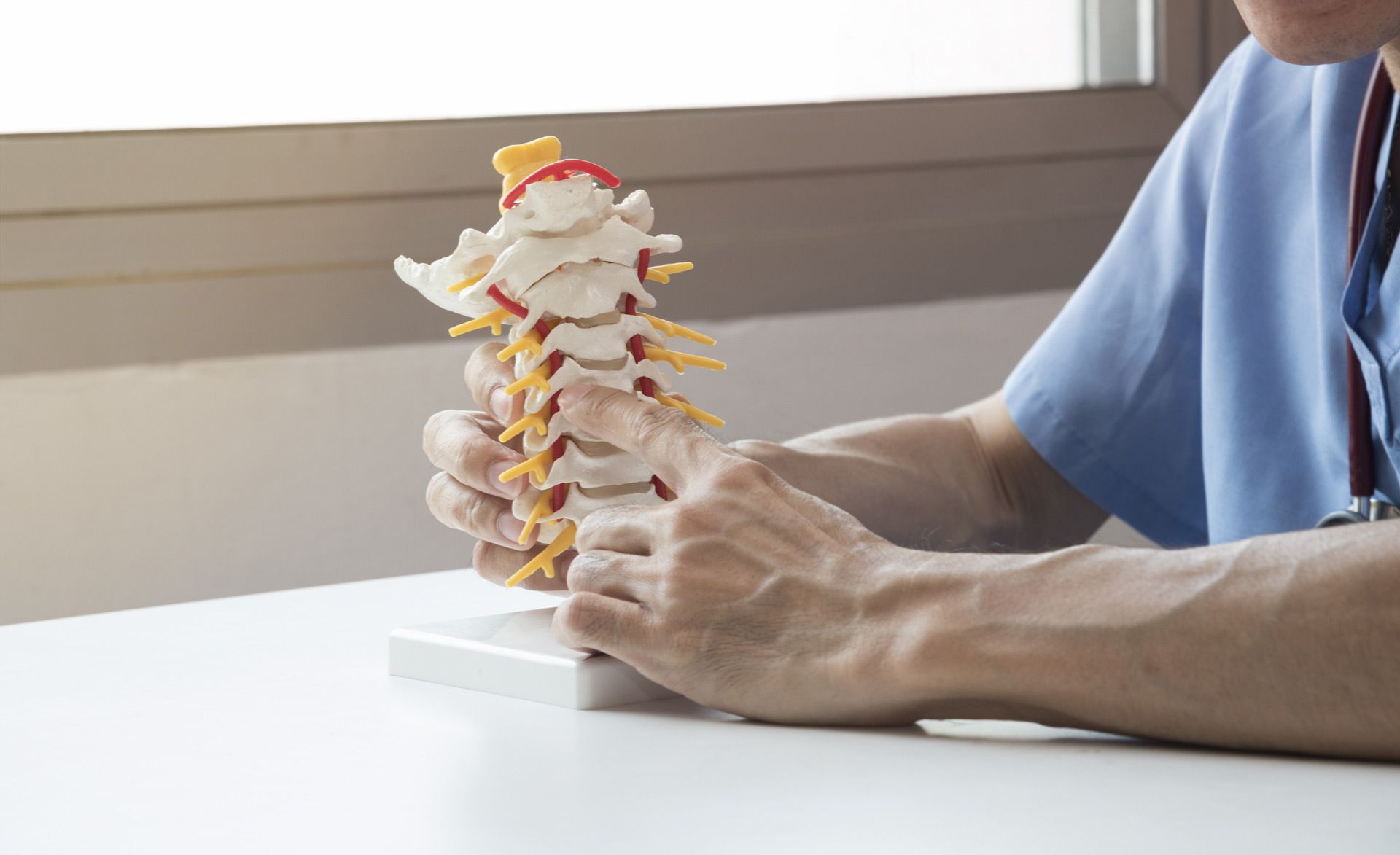 A doctor is holding a model of a spine on a table