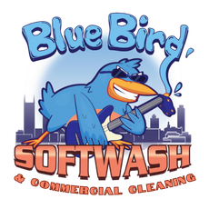 blue bird soft wash
