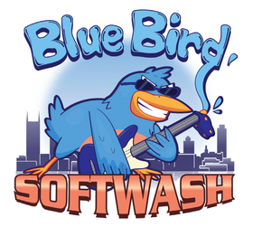 blue bird soft wash