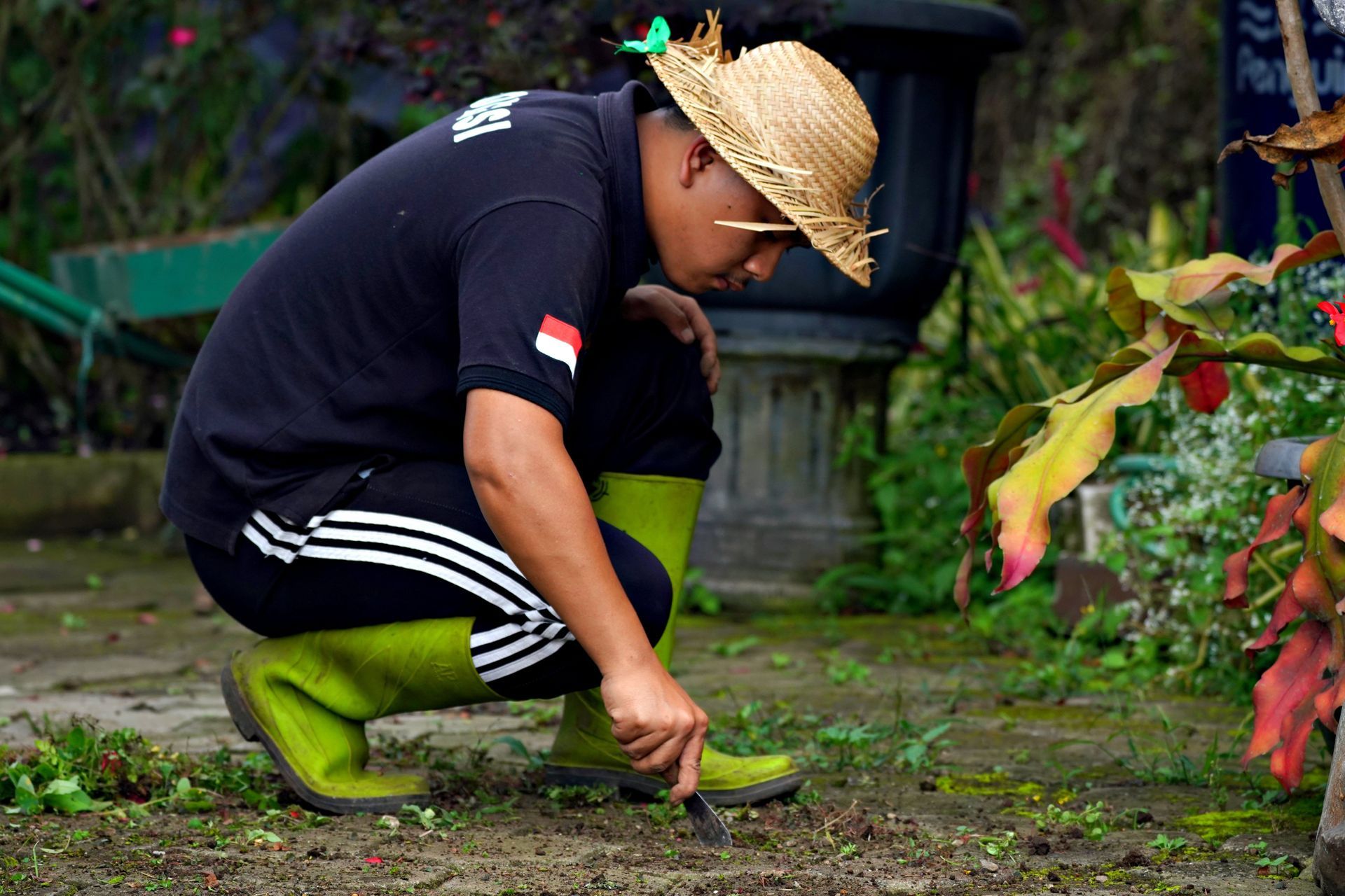 Person kneeling in a garden, digging soil with a small tool beside green and red plants.
