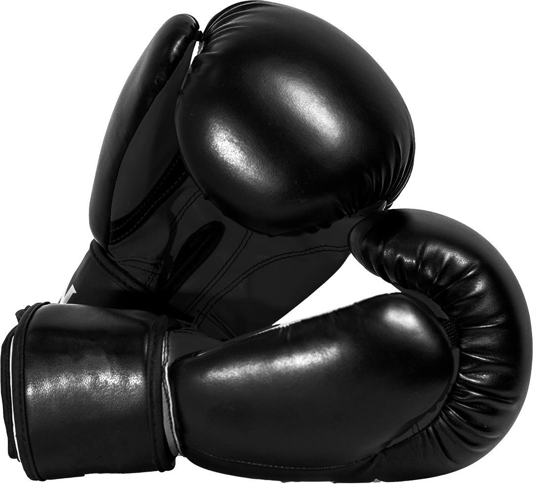a pair of black boxing gloves on a white background