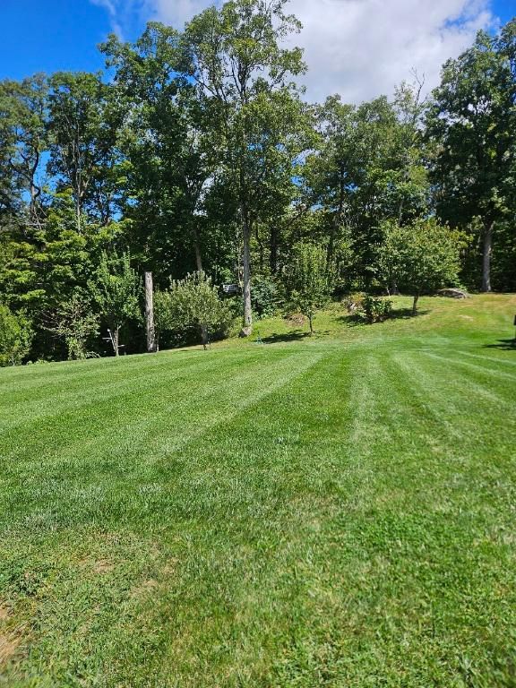 Lawn with freshly cut green grass, leading up to trees under a blue sky.
