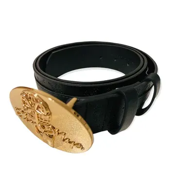 A black leather belt with a gold buckle on a white background