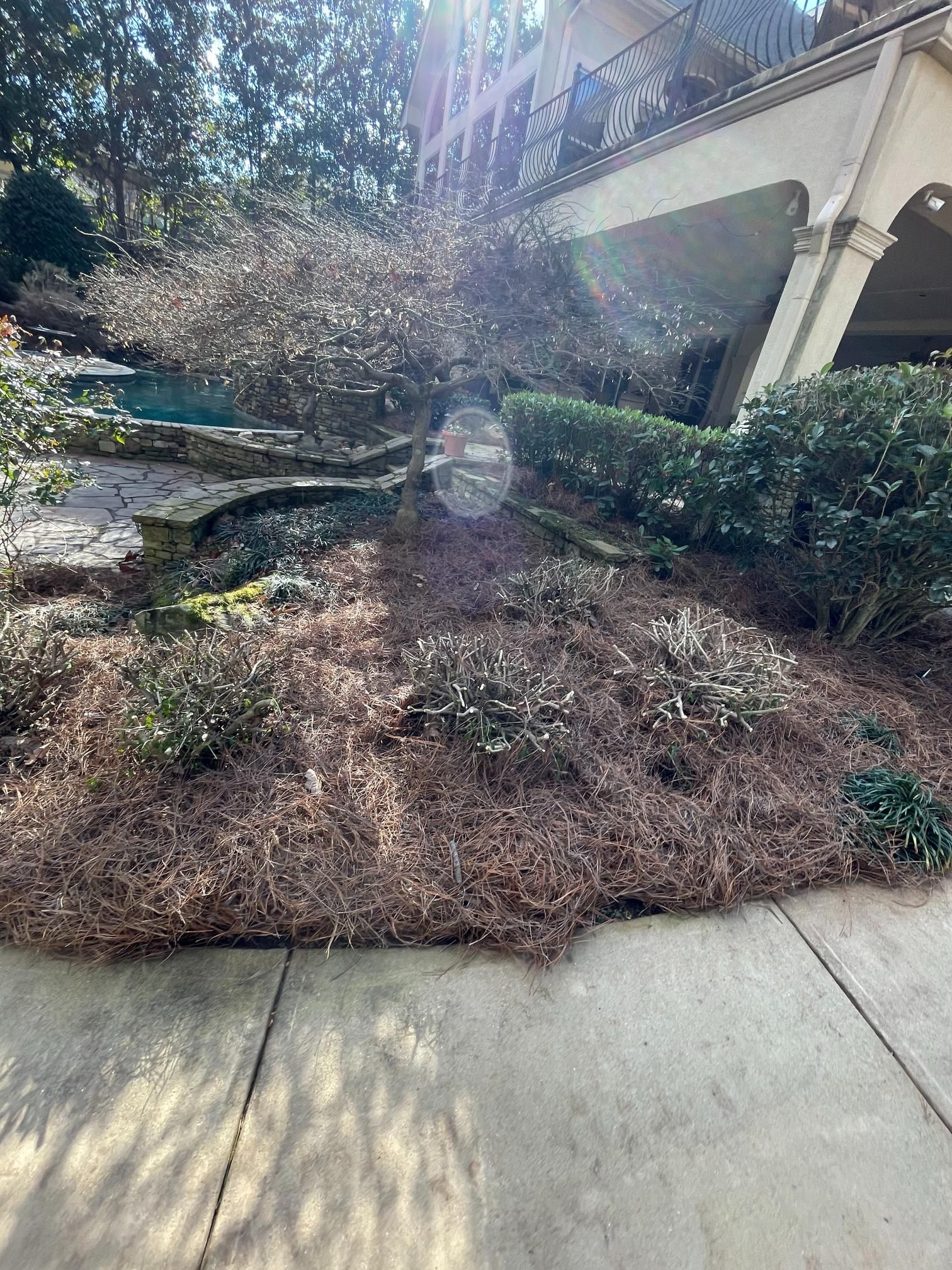 There is a lot of mulch on the sidewalk in front of a building.