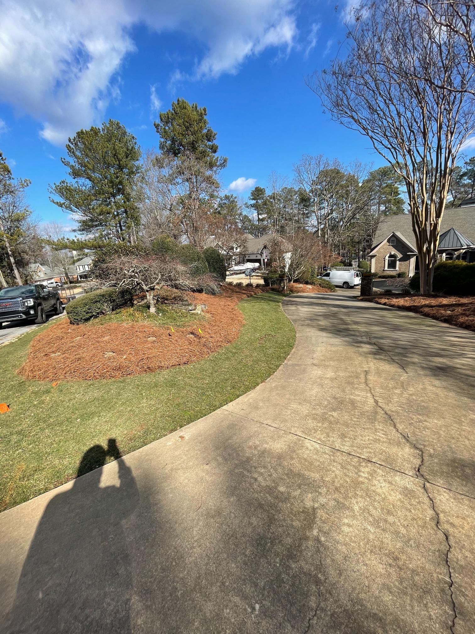 A shadow of a person is cast on the sidewalk in front of a driveway leading to a house.