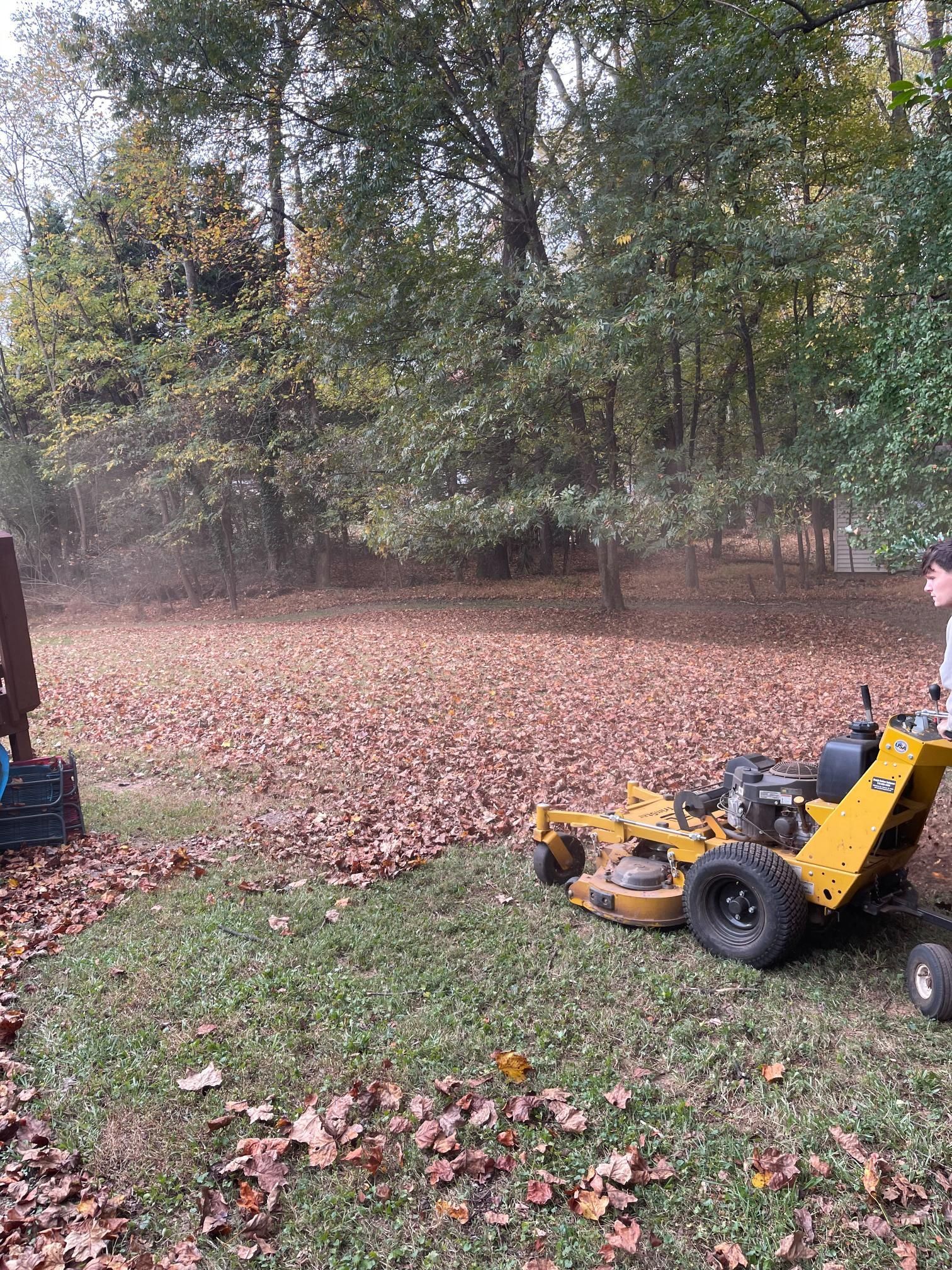 A man is riding a yellow lawn mower in a yard.
