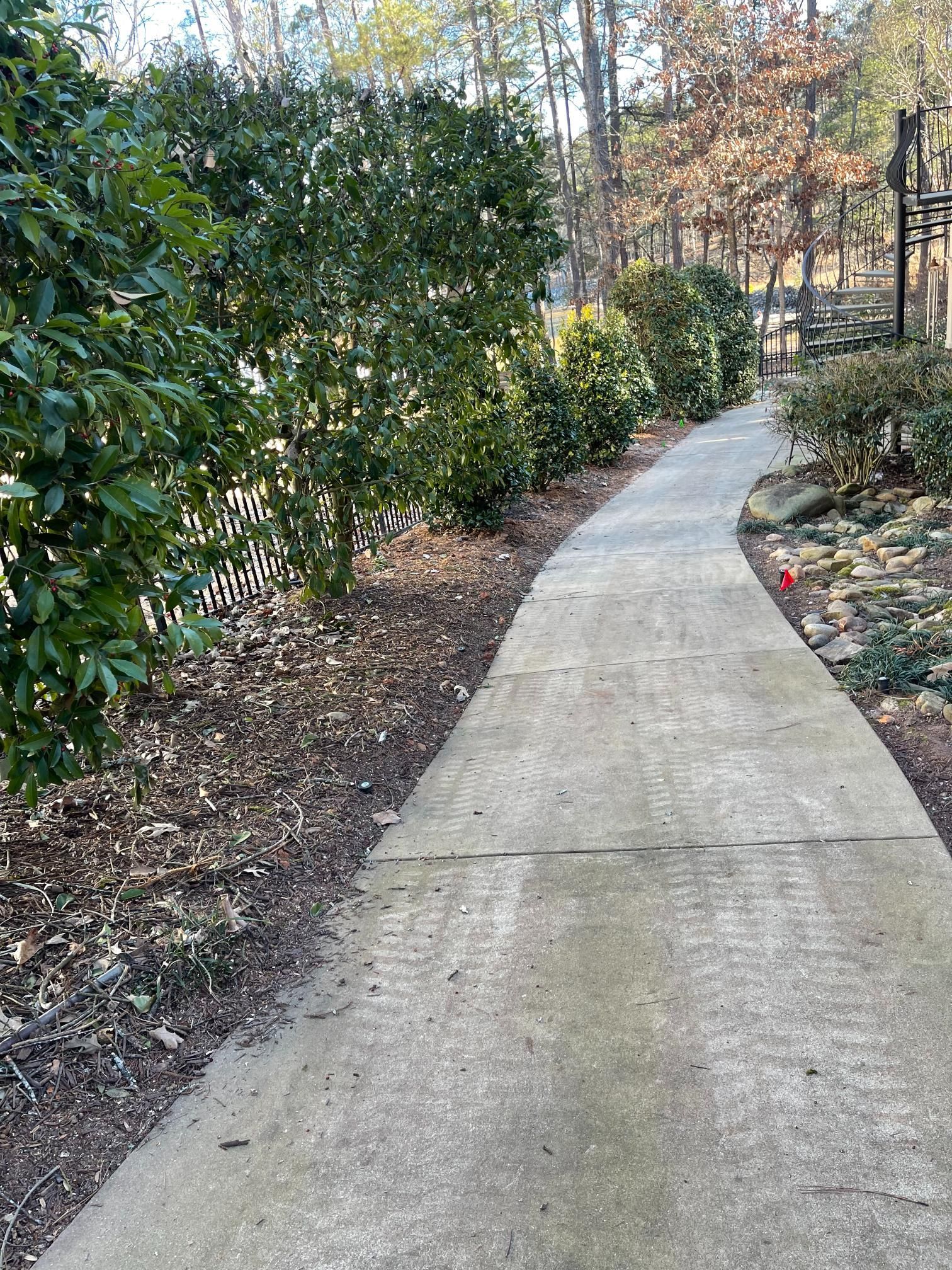 A concrete walkway surrounded by trees and bushes in a park.