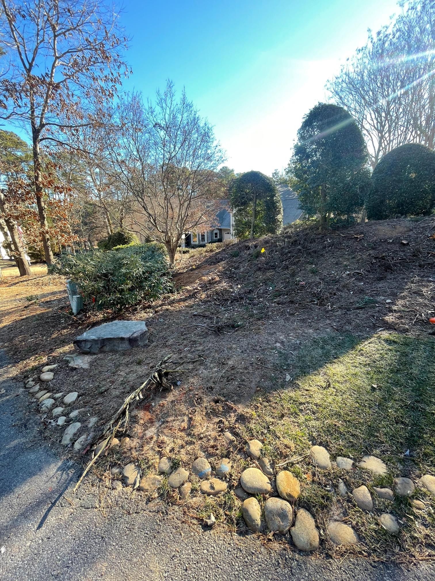 There is a lot of rocks in the middle of the yard.