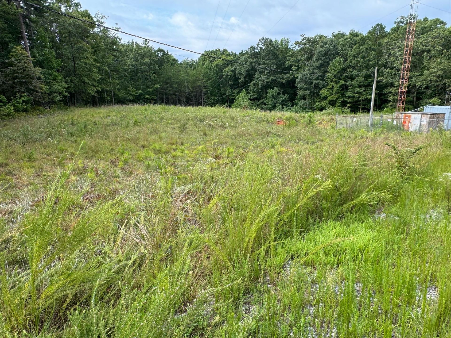 A large grassy field with trees in the background.
