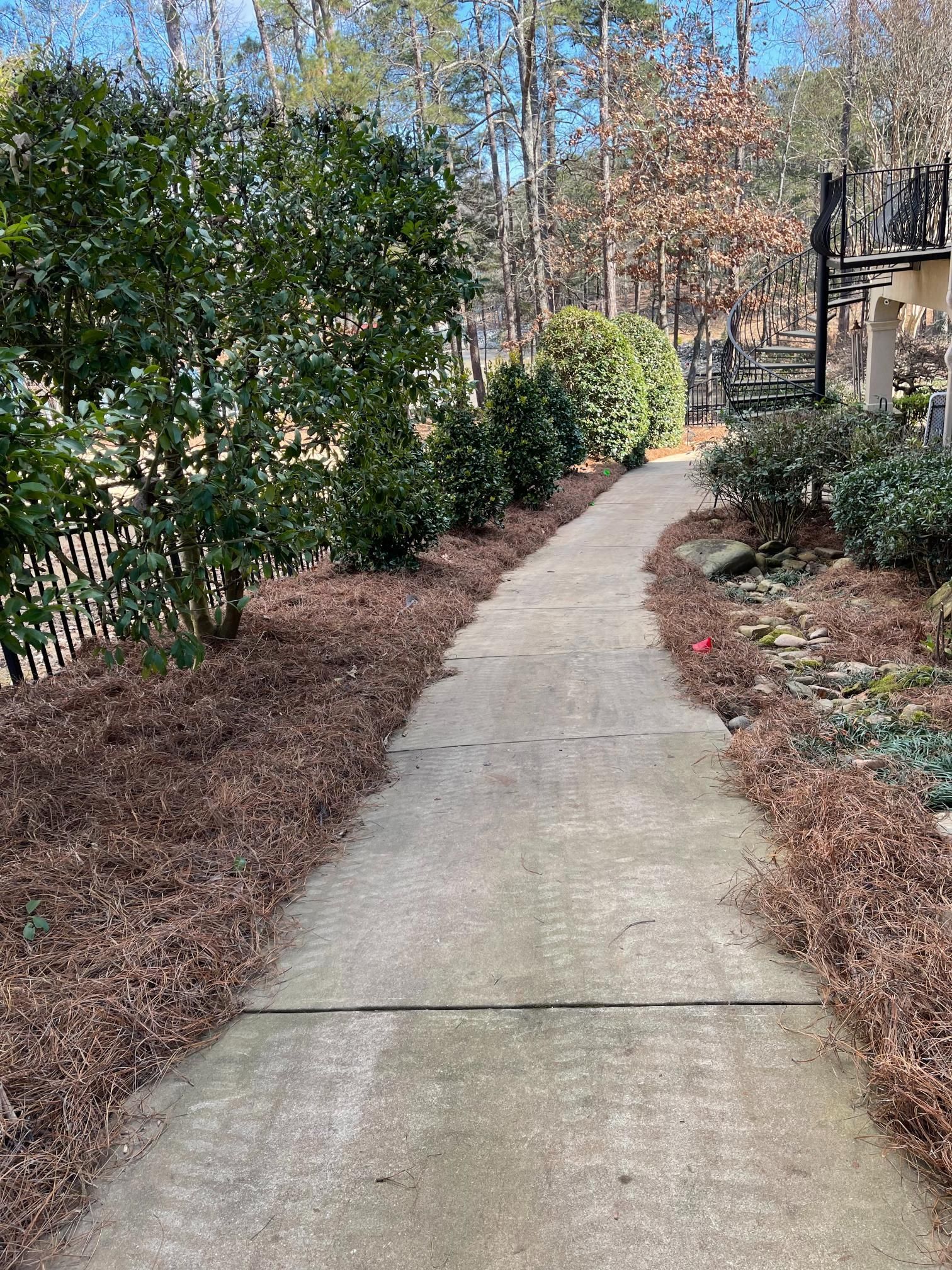 A concrete walkway surrounded by trees and mulch in a park.