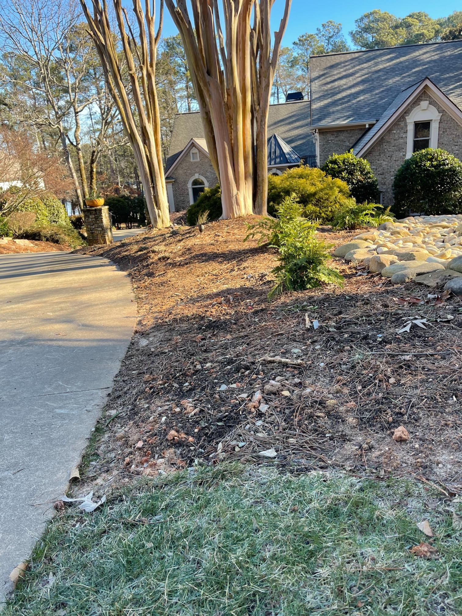 There is a house in the background and a sidewalk in the foreground.