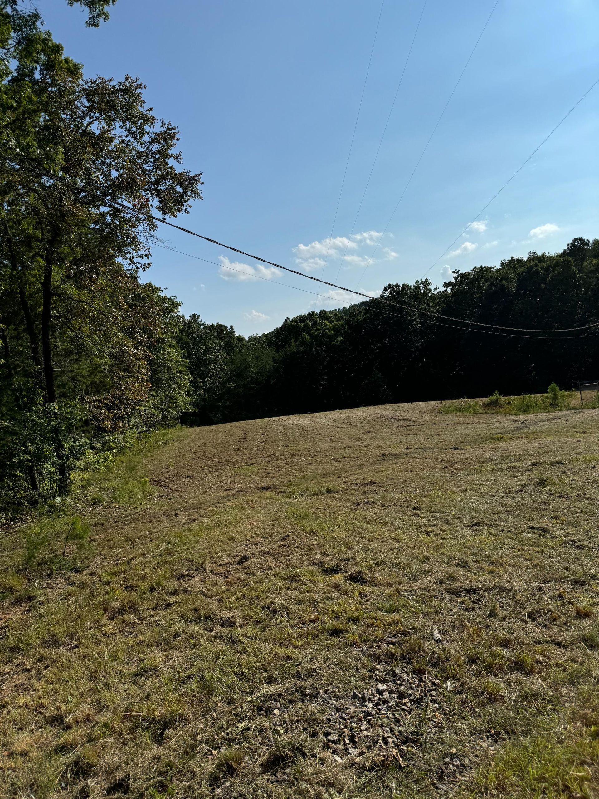 A field with trees in the background and a blue sky
