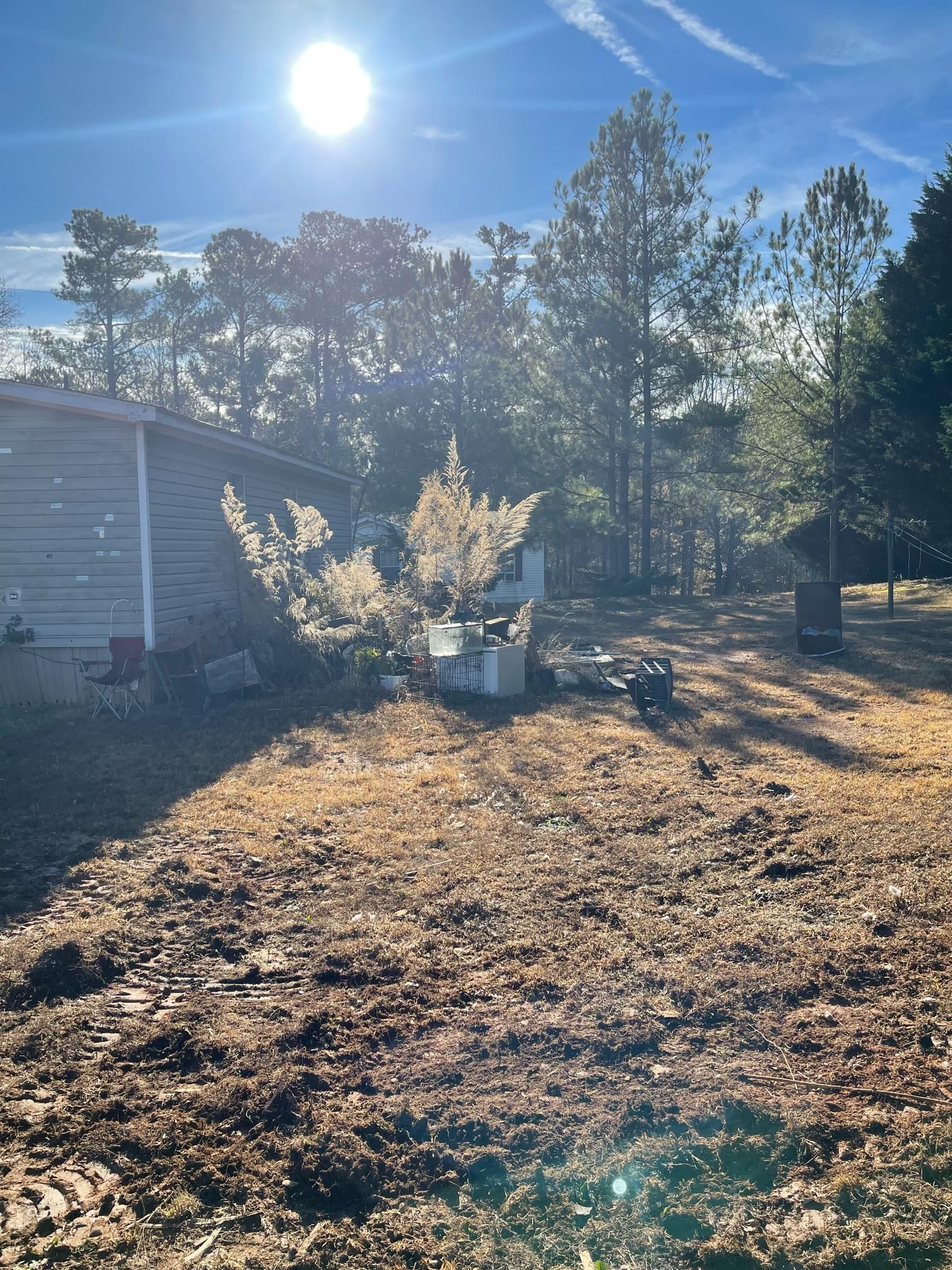 The sun is shining through the trees in the backyard of a house.