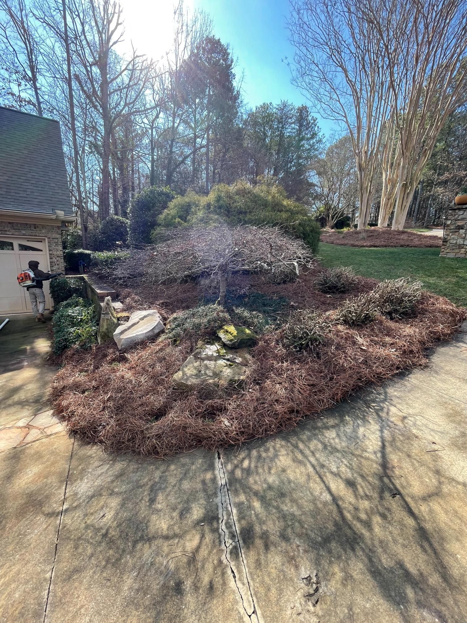 There is a lot of mulch in the middle of the yard.